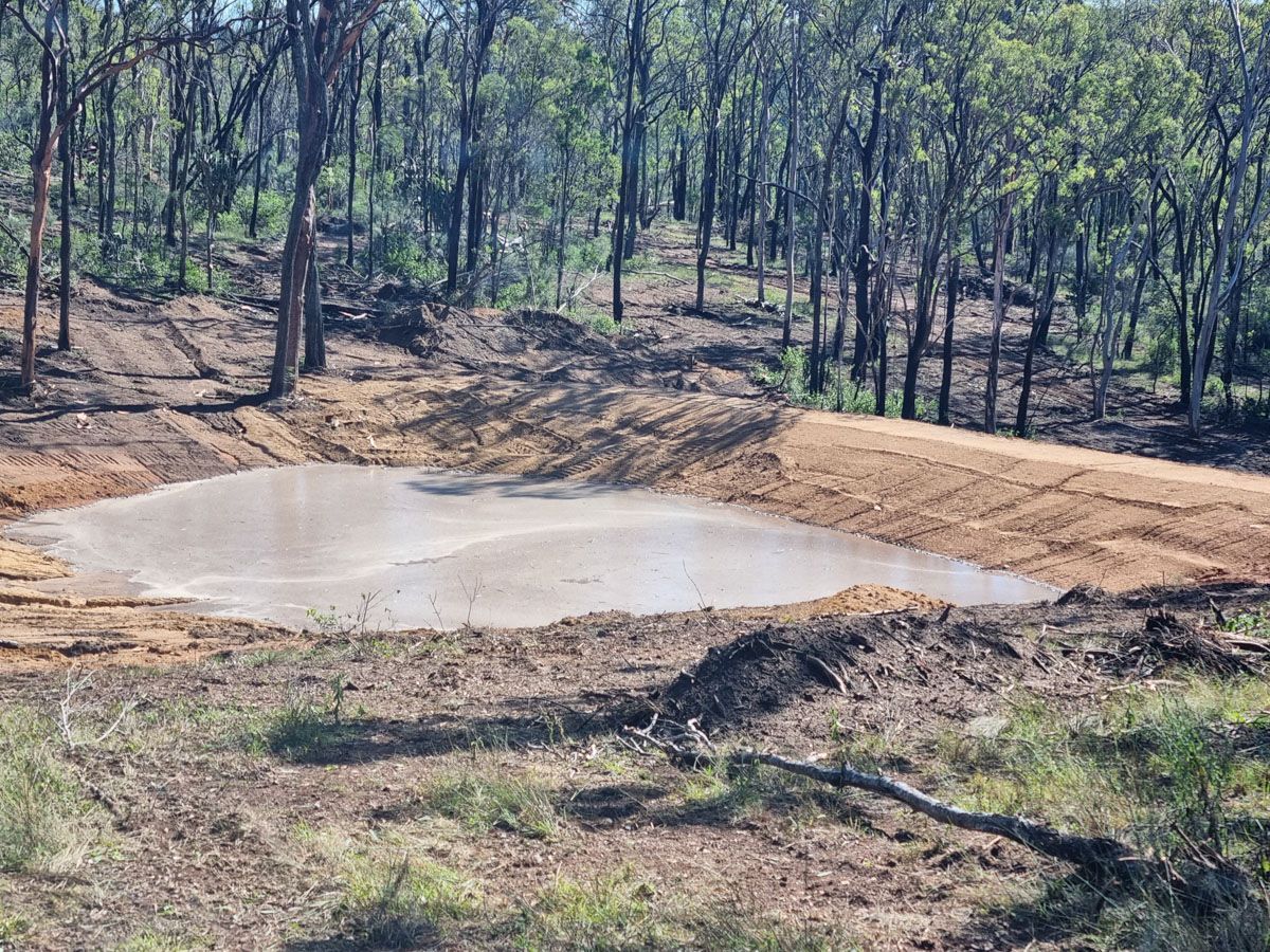 Newly constructed dam holding first water on a bush block
